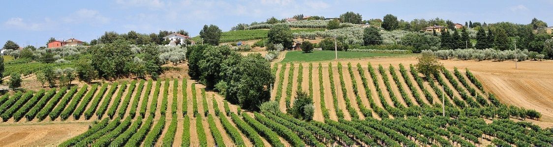 Azienda agricola Biologica La Villa