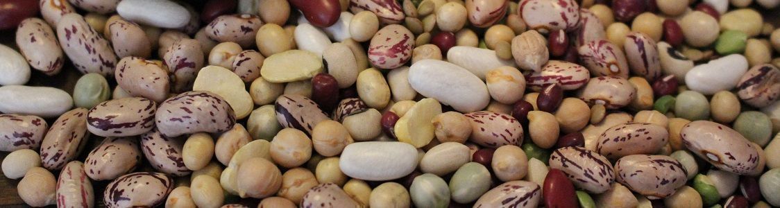Dried beans