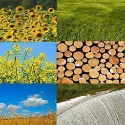 Use of renewable raw materials