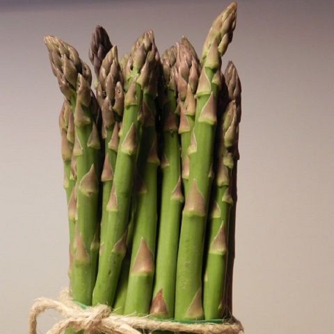 Cream of white asparagus