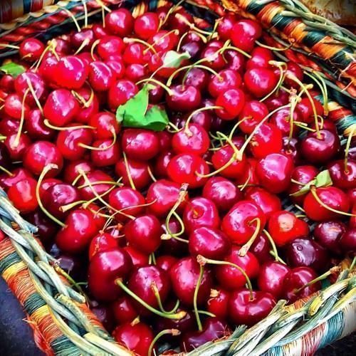 Cherries variety Durone FIRST