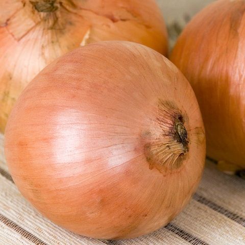 Onions bunch