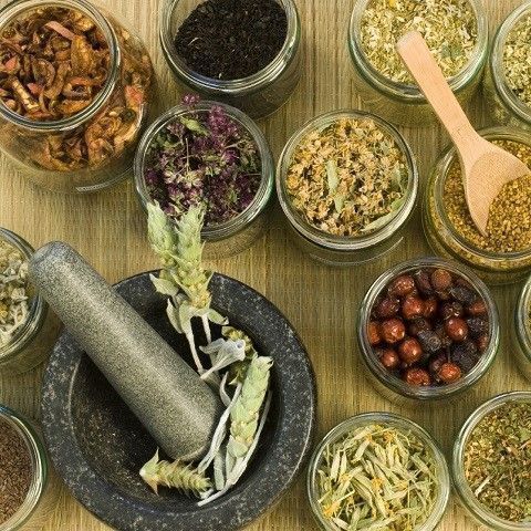 HERBS FOR PASTA WITH PESTO