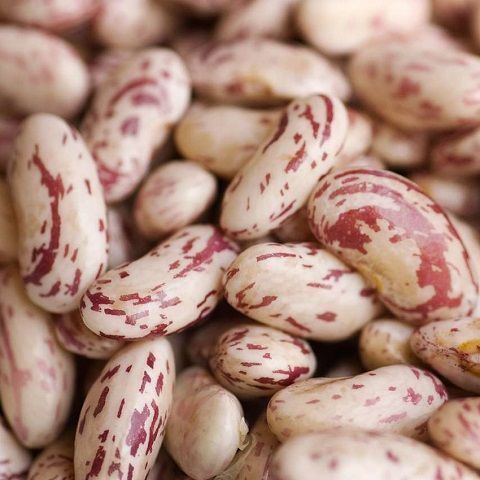 Borlotti beans 25 Kg