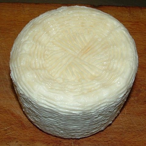 Fresh Parmesan cheese before ripening