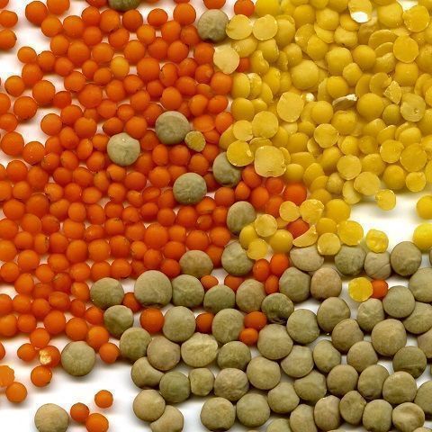 Green lentils small bulk