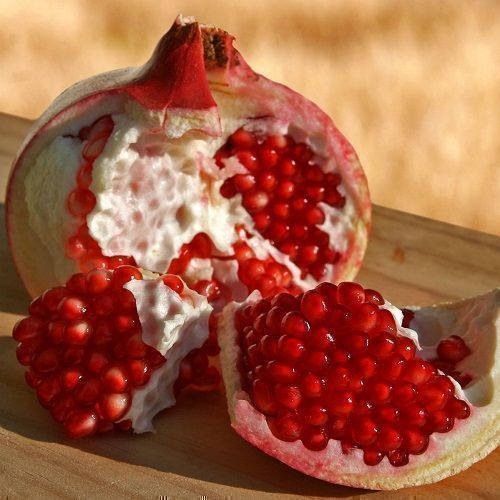 Pomegranate Tooth Horse