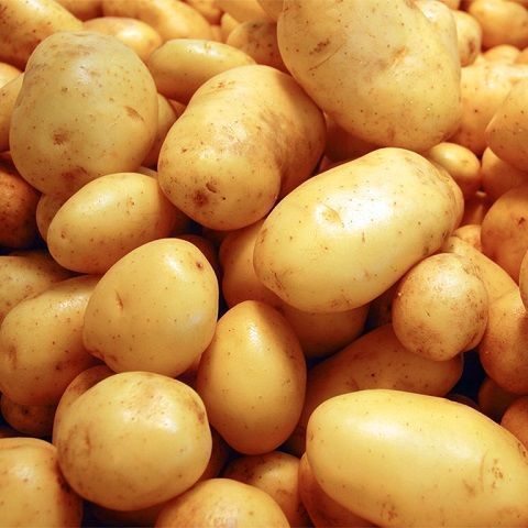 Patate gialle