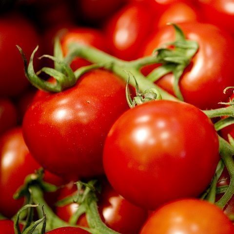 Organic plum tomato