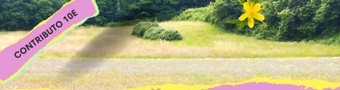 Andiamo per iperico 1