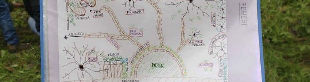 Food Forest e Permacultura