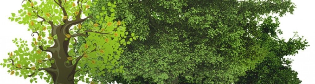 Laboratorio di cibi fermentati e panificazione