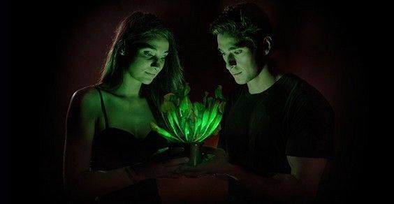 III edizione 201 Agrikulturae del 12 Marzo 2016