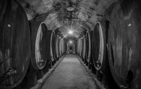 VI edizione 2016 Agrikulturae dell'11 giugno 2016