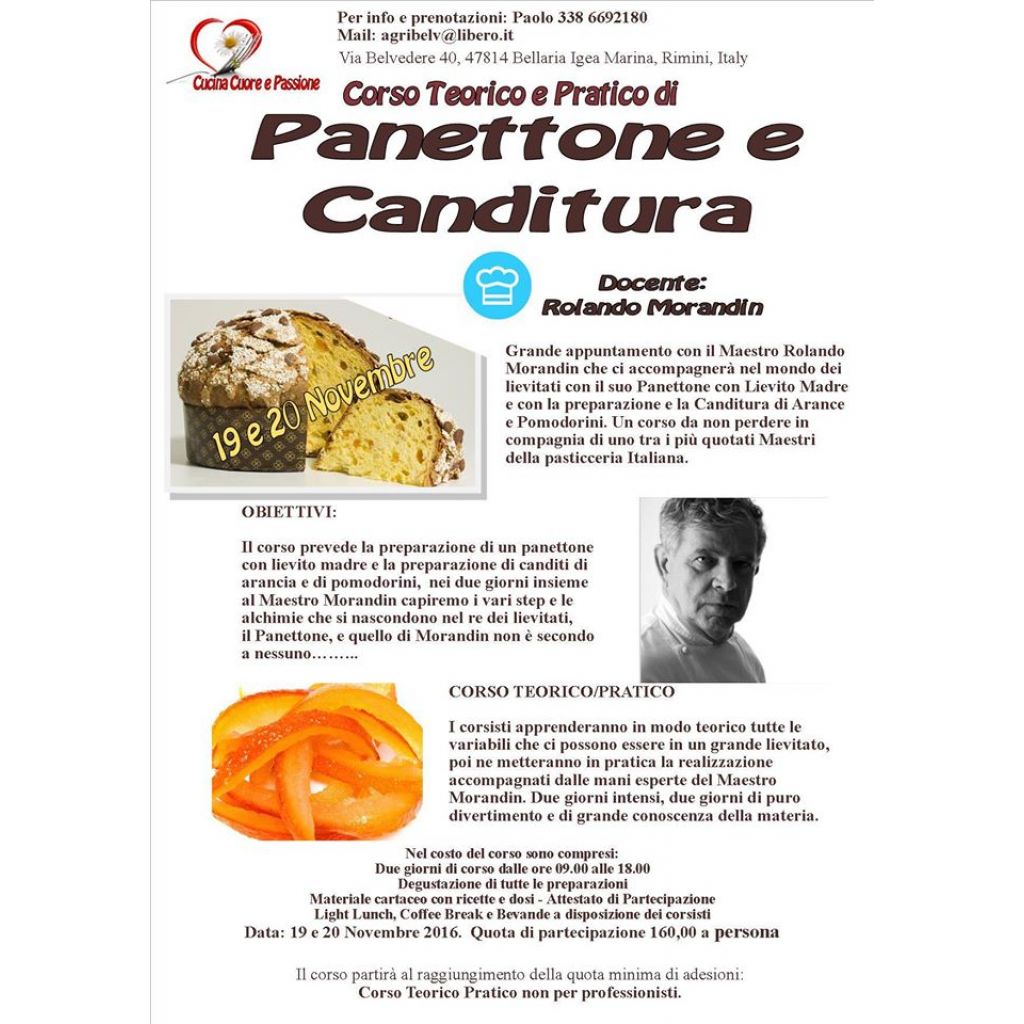 PANETTONE CON AMARENE kg 0,5
