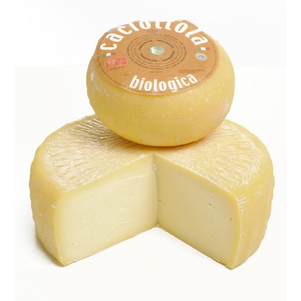 CACIOTTINA BIANCA - 500 GR. ca.