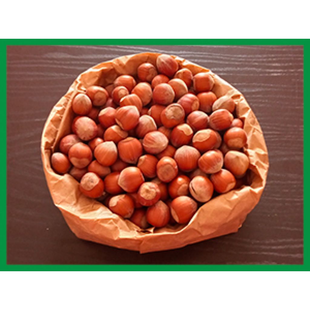 Hazelnuts (1 Kg)