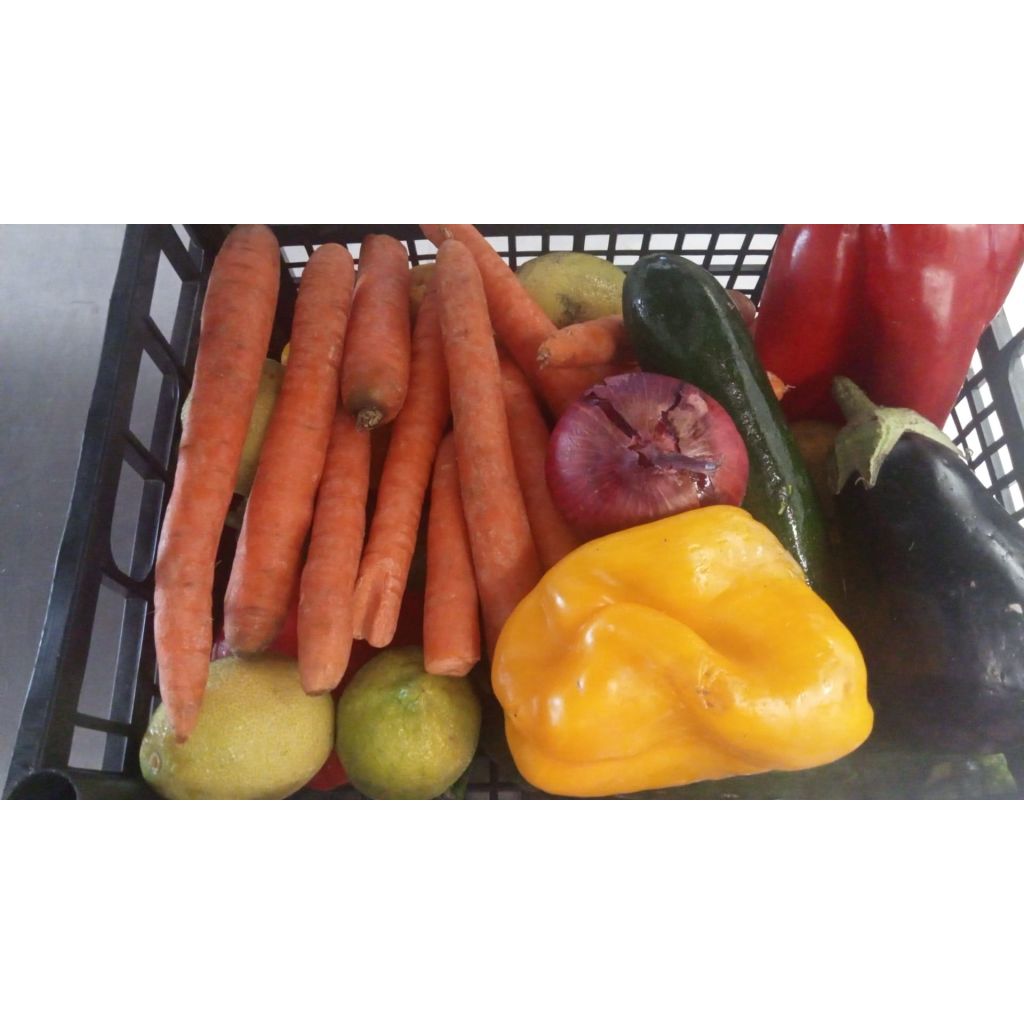 CASSETTA SPRECO ZERO