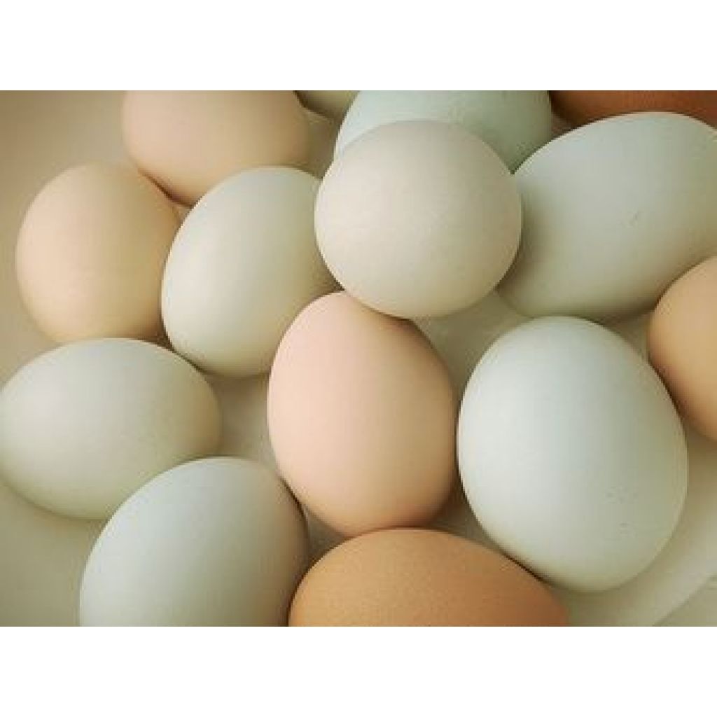 Uova di gallina confezione 6 pz