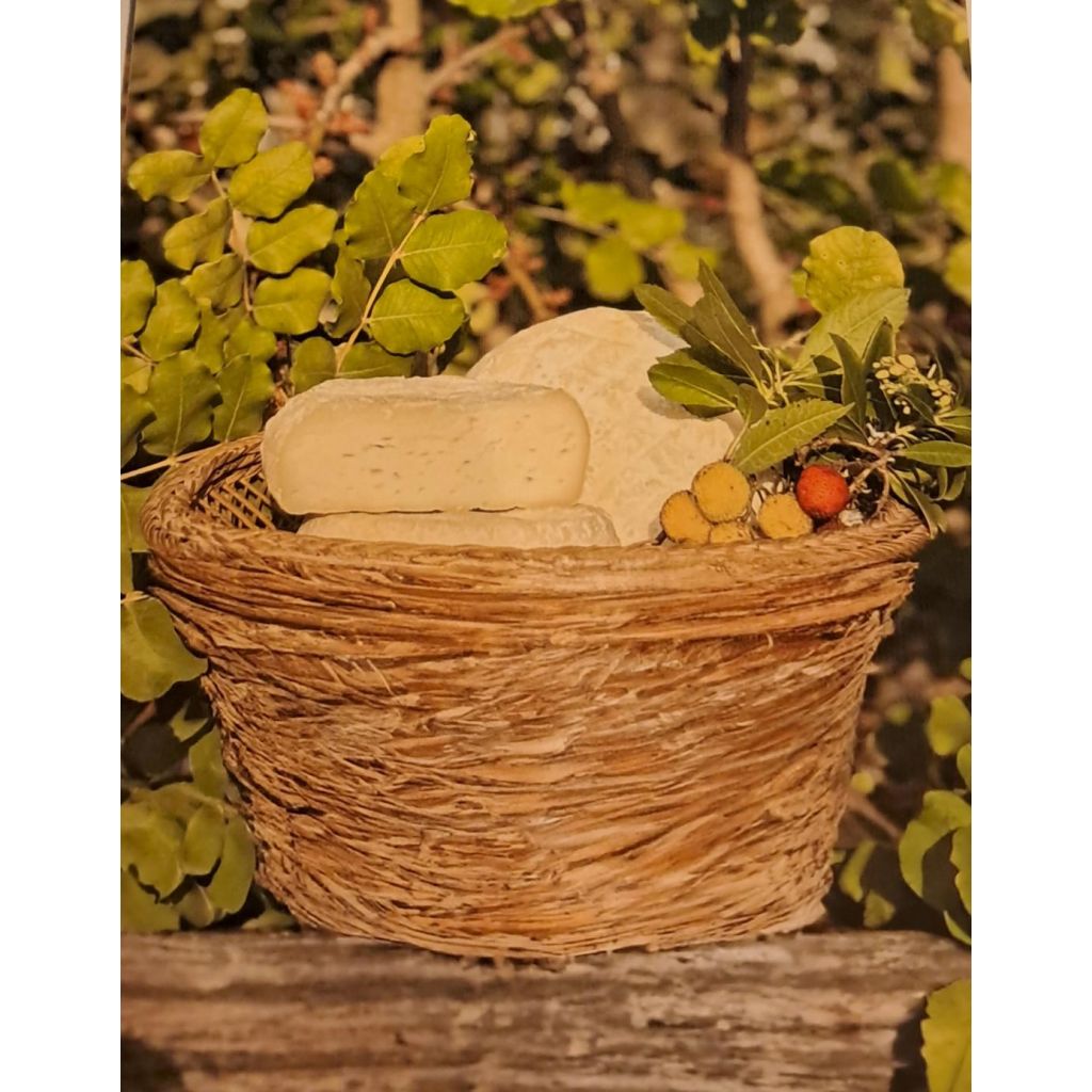 CACIOTTA_DOLCE_DI_CAPRA_FORMA_1KG_CIRCA