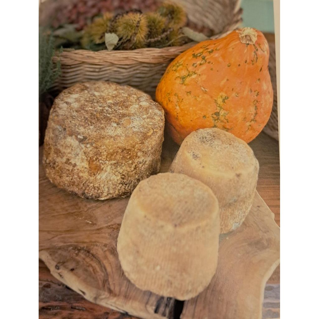 Crosta rossa di capra semistagionata