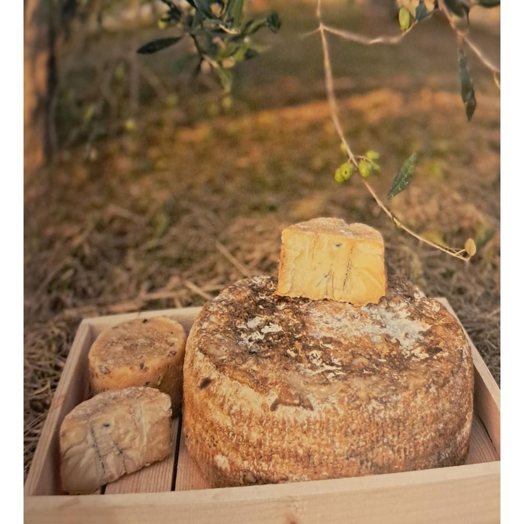 ERBORINATO_DI_CAPRA_FORMA_900G_CIRCA