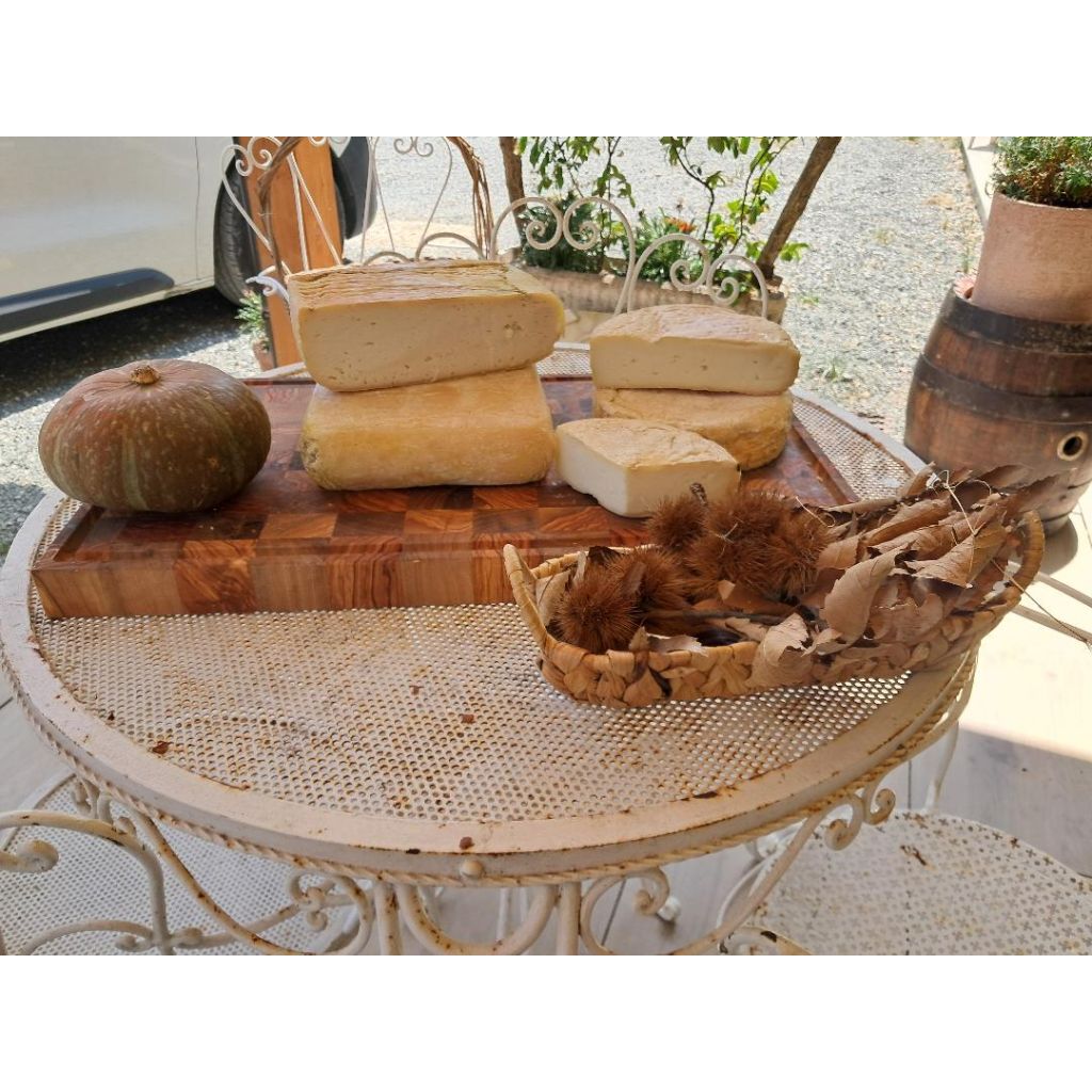 Lavorazione tipo Taleggio di capra