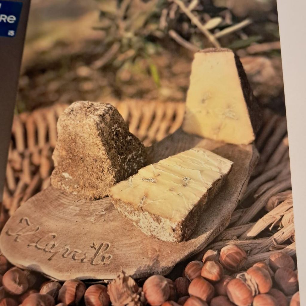 PIRAMIDI_ERBORINATE_DI_CAPRA_AL_PEPE_DA_450_GR_CIRCA