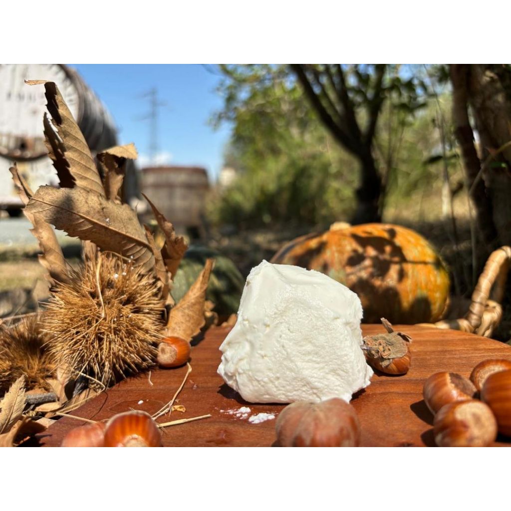 ROBIOLA DI CAPRA FRESCA