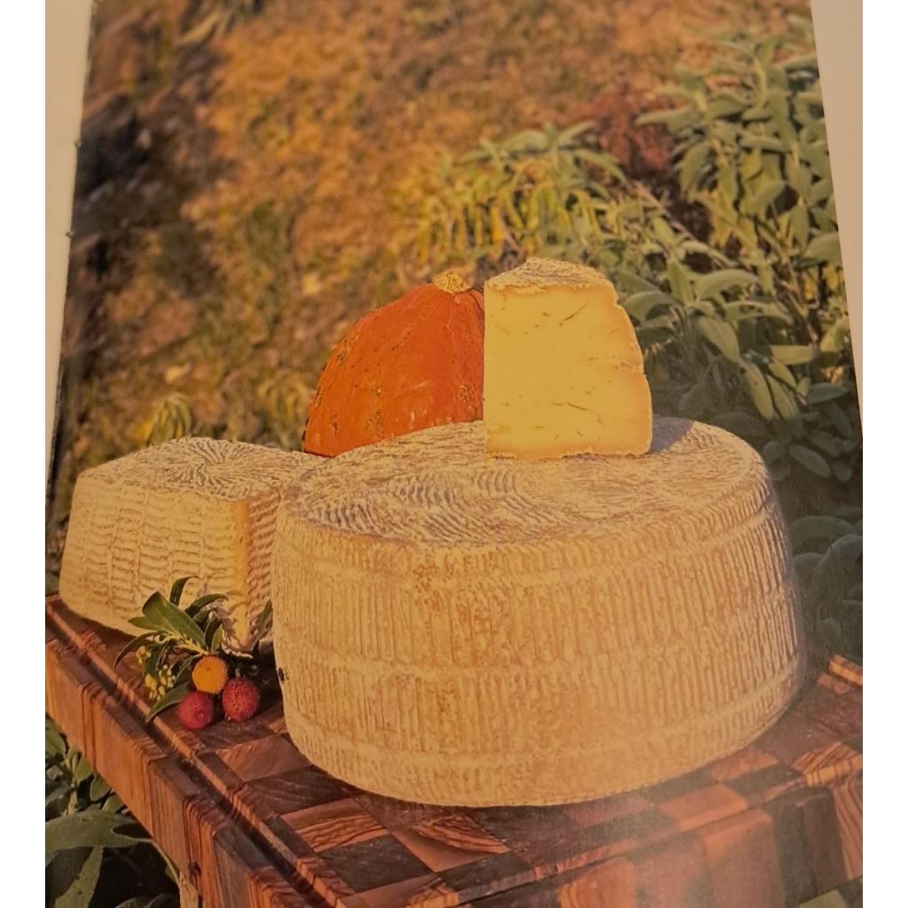 STAGIONATO_DI_CAPRA_Trancio 400gda FORMA