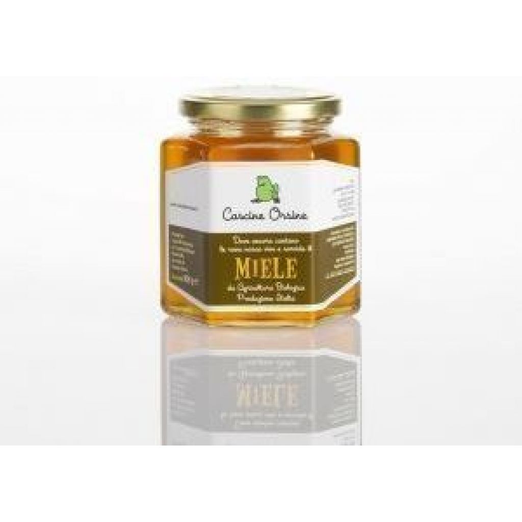 Wildflower honey [500 grams]
