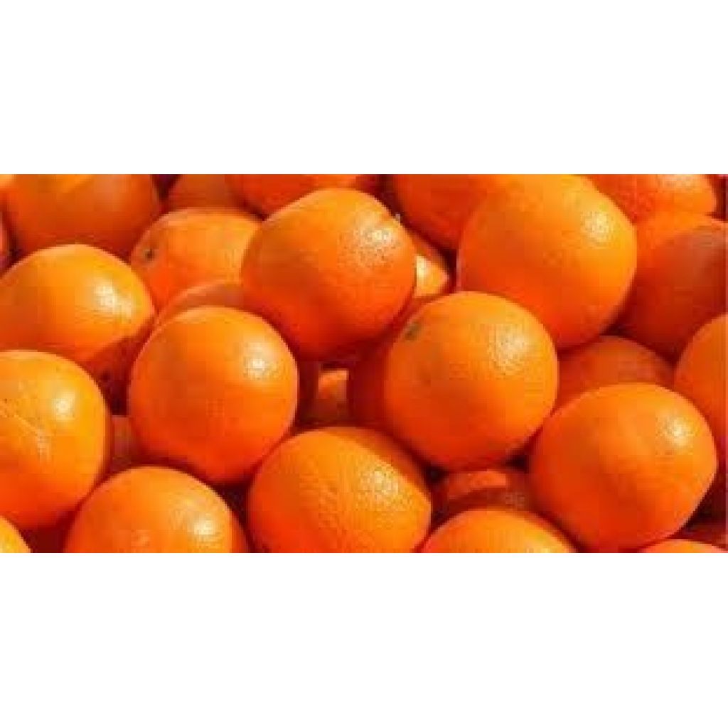 Navel oranges 15 Kg