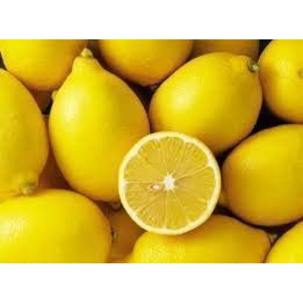 Lemons 10 Kg