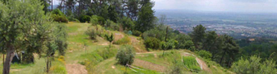 Fattoria del Poggio di Moncini Massimo