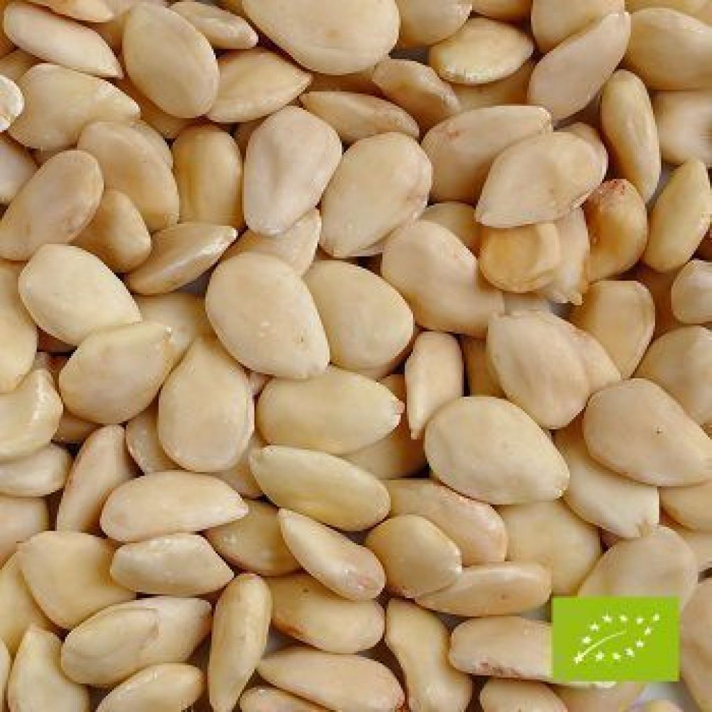Sicilian peeled almonds - 1 Kg