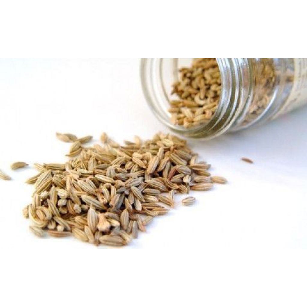 Fennel seeds [100 g.]