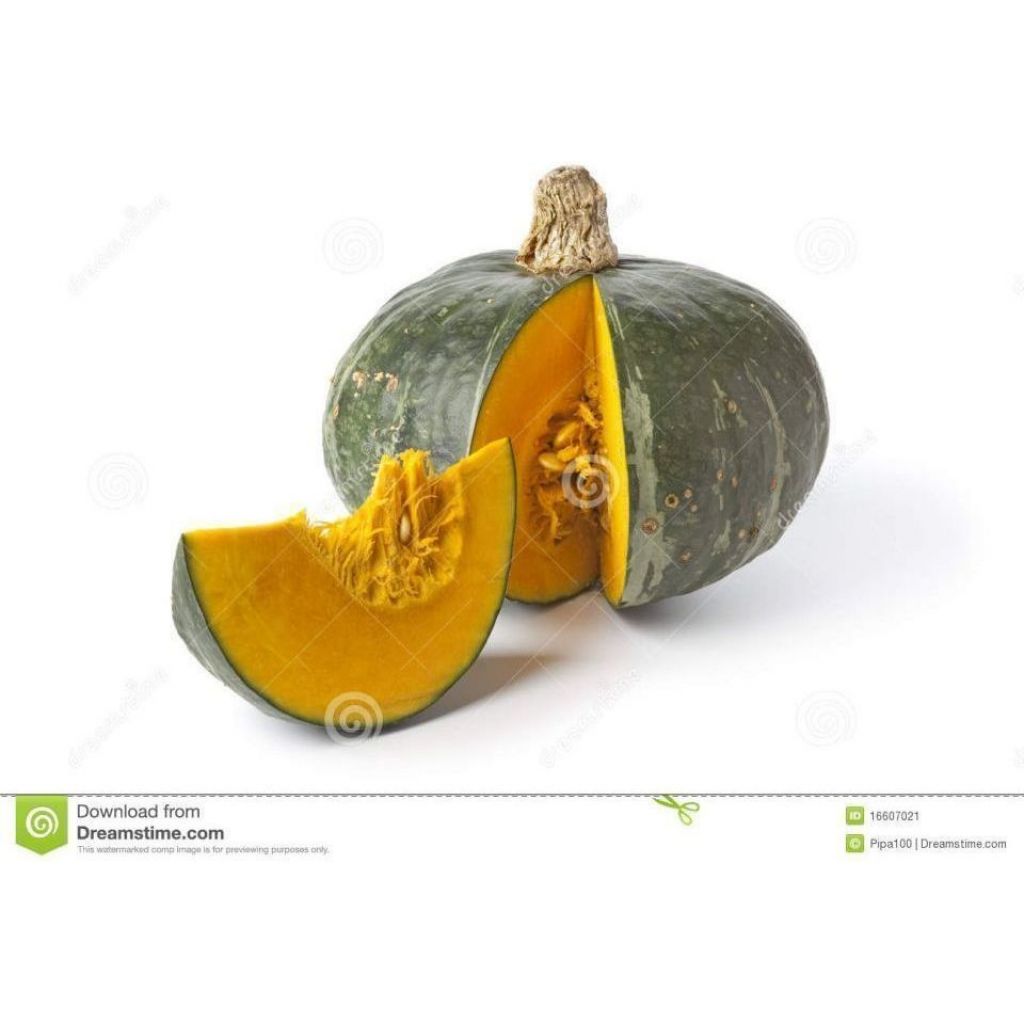 Zucca verde polpa arancione - grande