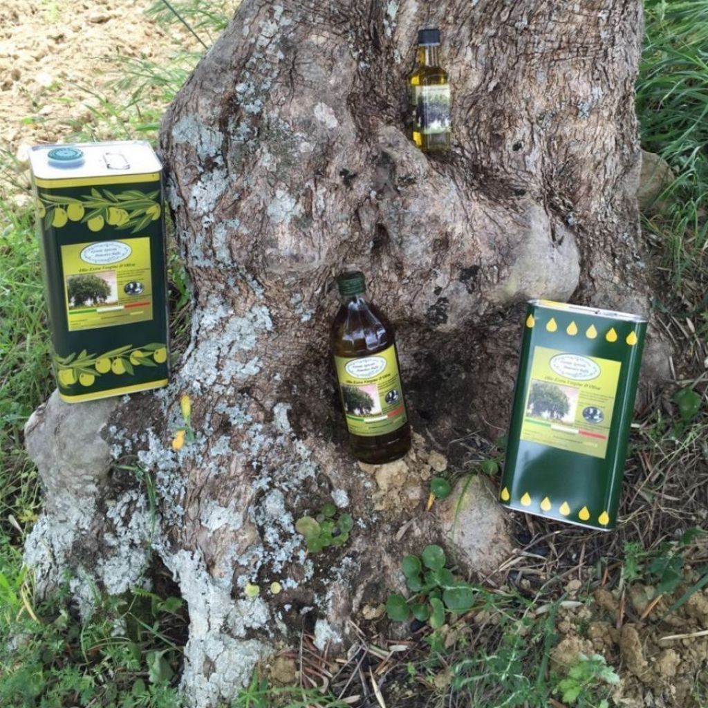 Olio Extravergine di Oliva Raccolta 2025 - 5 Litri