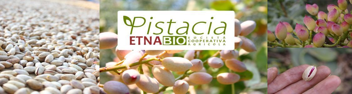 Pistacia Etna Bio Soc. Coop. Agricola