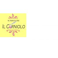 logo_del_corniolo