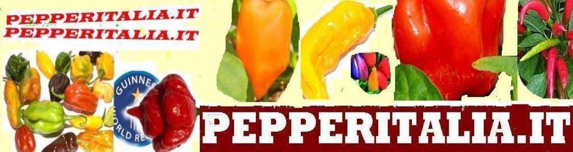 Pepperitalia
