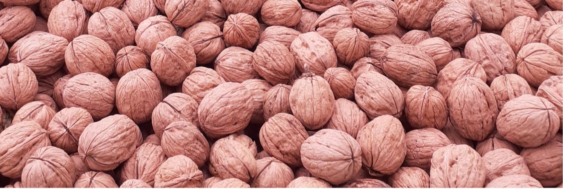 Azienda agricola Tre Querce