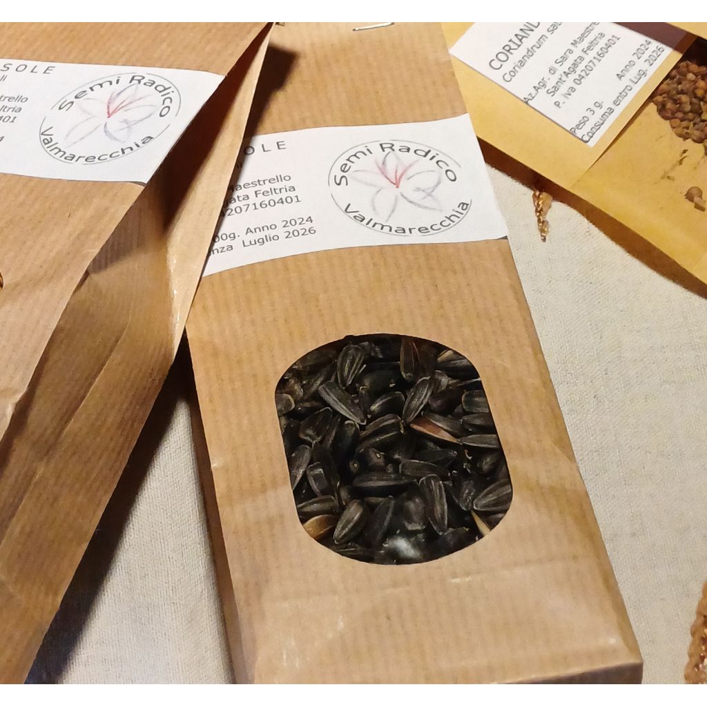 Semi di Girasole - 100g