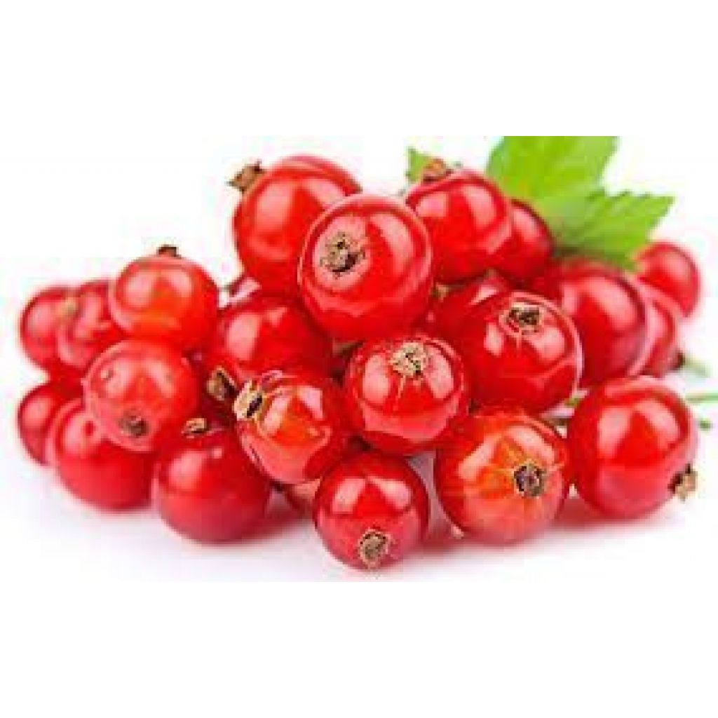 Confettura di Ribes Rosso 210 gr