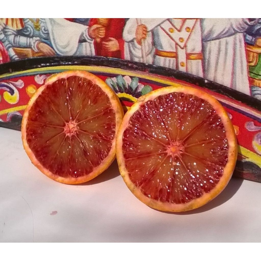 Arance tarocco a polpa rossa da tavola cassa Kg16,5