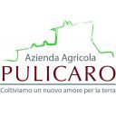 Azienda Agricola Bio Pulicaro