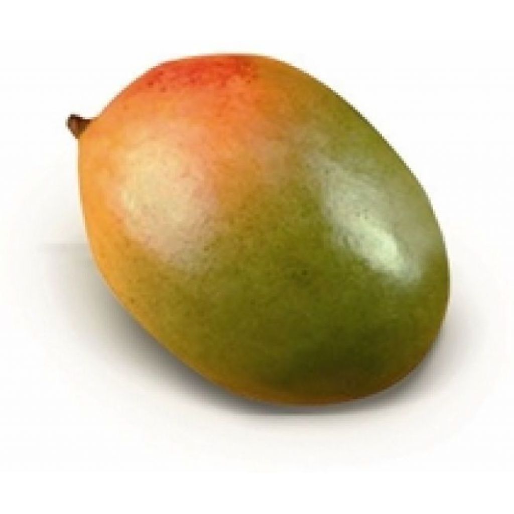 Mango varietà Keitt