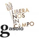 Gasolo - Libera Nos In Campo