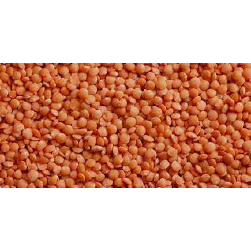 Organic red lentils