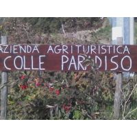 Azienda Agricola Biologica Colle Paradiso